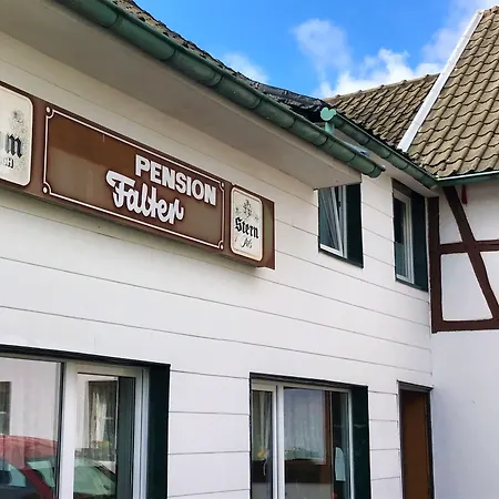 Отель Falter 2*